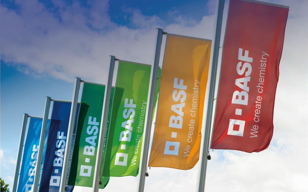 Forum BASF de l’Amicale : Business Peintures Constructeurs