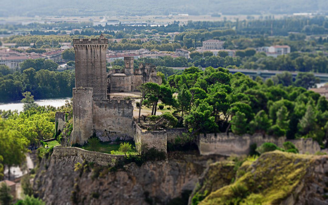 Délégation Midi-Méditerranée: visite guidée de Beaucaire et Tarascon